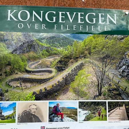 Mjosvang Kafe Vang I Valdres Buitenkant foto